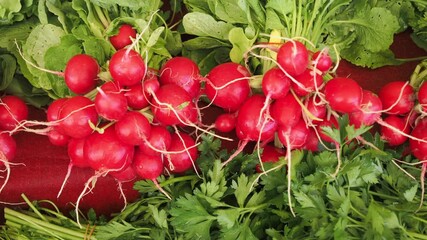 Fresh radishes and greens at local market today