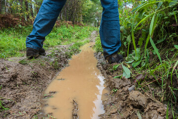person stands on muddy trail surrounded by tall grass and trees. puddle reflects the cloudy sky, indicating recent rain. scene captures beauty nature despite wet conditions. close up.