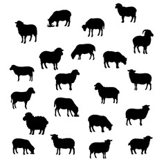 Silhouette of a Sheep on a White Background