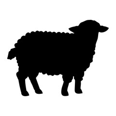 Silhouette of a Sheep on a White Background