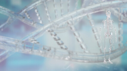 The Crystal Skelton for Sci or education concept 3d Rendering.