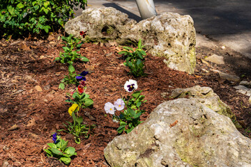 Lawn Aeration, Soil Plugs, Mulch, Wood Chip Texture, Fertilizer Spreader and Lawn Equipment