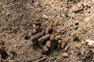 Lawn Aeration, Soil Plugs, Mulch, Wood Chip Texture, Fertilizer Spreader and Lawn Equipment