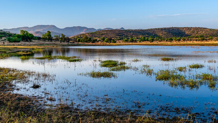 Paysage de la Namibie