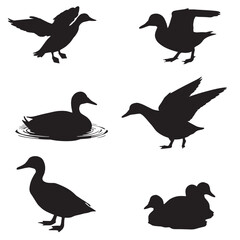 Obraz premium Silhouettes of Flying ducks Vector Illustration Set