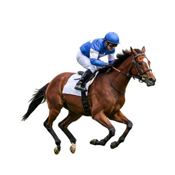 Horse racing action, jockey rides with speed and power, horse gallops fast, horse racing dynamic, horse competition thrill.
