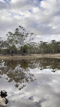 Beautiful wild eucalyptus bush reflected in a small lake at sunset, Parra Wirra Conservation Park, Yattalunga, South Australia