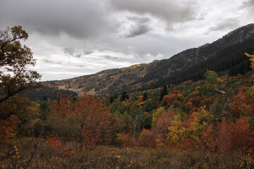 Stormy Autumn Fall Hiking Views at Snowbasin Ski Resort, Huntsville, Utah 