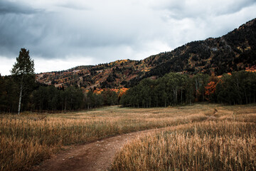Stormy Autumn Fall Hiking Views at Snowbasin Ski Resort, Huntsville, Utah 