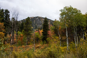 Stormy Autumn Fall Hiking Views at Snowbasin Ski Resort, Huntsville, Utah 