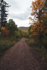 Stormy Autumn Fall Hiking Views at Snowbasin Ski Resort, Huntsville, Utah 