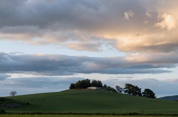 Fototapeta premium green field and blue sky