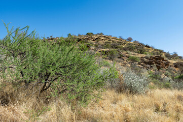 Paysage du centre de la Namibie