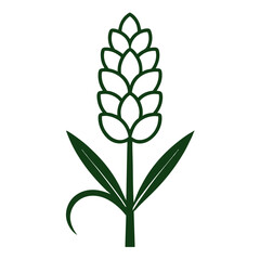 vector illustration of a hyacinth flower