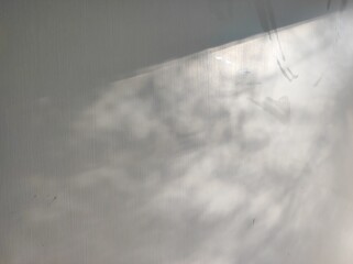 Natural background, play of light and shadow on the surface painted with white paint, scratches and marks from a paint brush. Soft shadows creates a serene and abstract pattern.