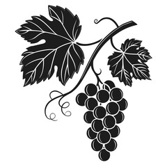 Stylized grapes and leaves on a vine
