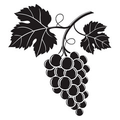 Stylized black and white grapes with leaves on a vine