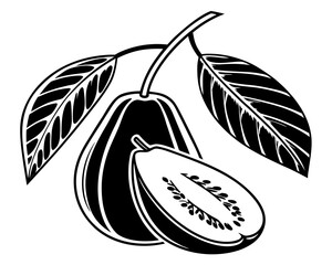 Stylized white papaya and leaves on black background