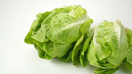 Fresh green romaine lettuce on a white background