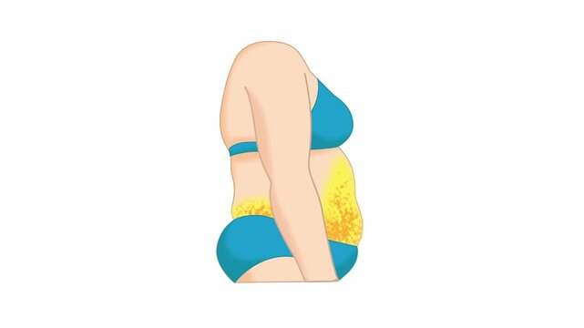 Weight loss results comparison. 2D animation of a woman's body transformation before and after exercises to lose belly fat, saddlebags and butt fat. white background compatible with background remover