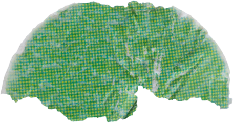 Blank green round adhesive paper sticker label isolated on white background