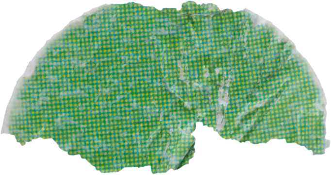 Blank green round adhesive paper sticker label isolated on white background