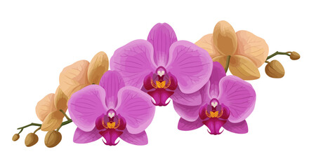 Naklejka premium Elegant Orchid Arrangement with Purple and Gold Flowers Illustration