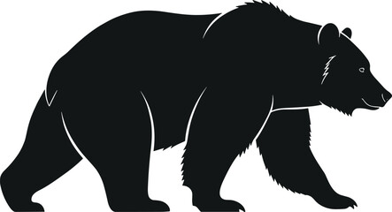 Set of Twelve Black Silhouettes of People Canoeing or Kayaking with Paddles, Vector Icons for Water Sports, Outdoor Recreation, Boating Activity, and Summer Adventure.