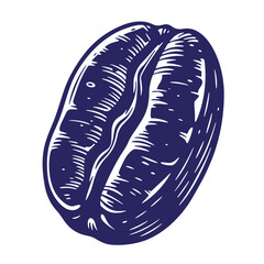 Hand drawn vintage coffee bean illustration isolated on a white background for designs