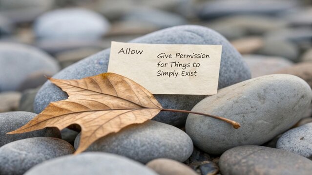 A philosophical note and a dried leaf resting gently on river stones