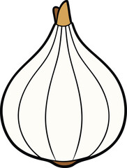 vector illustration of an garlic