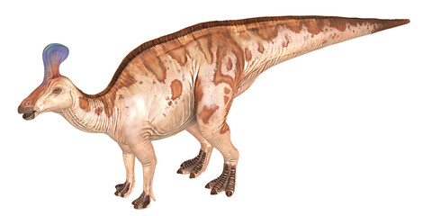 Illustration of a Parasaurolophus dinosaur
