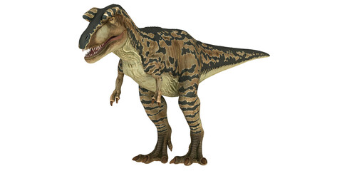 Tyrannosaurus rex model on white background