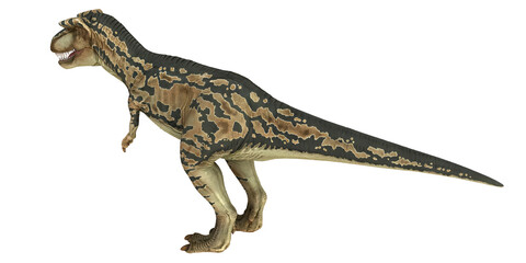 Realistic Tyrannosaurus rex illustration