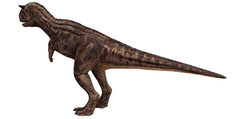 Carnotaurus dinosaur on a white background