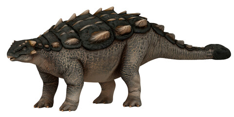 Fototapeta premium Realistic model of an armored dinosaur.