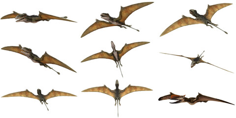 Flying pterosaurs in various dynamic poses © Ilie