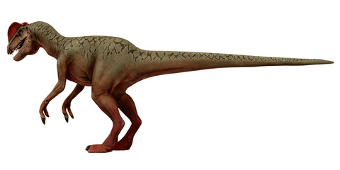 Majestic dinosaur standing against a white background.