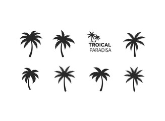 Palm tree icons set