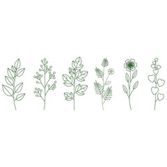 Creative design vector art of set of delicate green botanical line art illustrations of leaves and flowers