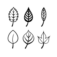Fototapeta premium Vector art of set of six different leaf icons collection of various leaf shapes, representing different types of trees and plants in simple line art