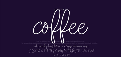 Hand drawn vector alphabet. Modern monoline signature script font. Elegant Signature Font. Best Alphabet Beautiful Calligraphy Signature Font