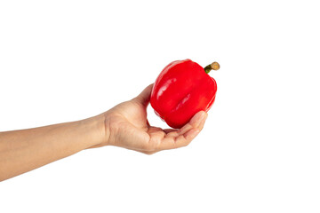 Red sweet bell pepper in hand isolated on transparent background