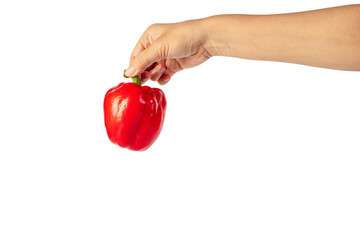 Red sweet bell pepper in hand isolated on transparent background