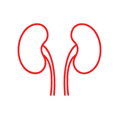 Human kidneys one line continuous drawing. Human organ continuous one line illustration. Vector minimalist linear illustration.