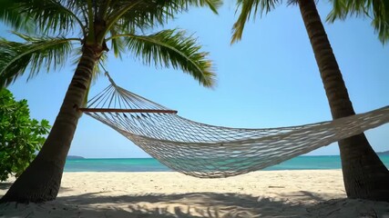 Tropical Paradise Hammock, Palm Trees, and Azure Waters