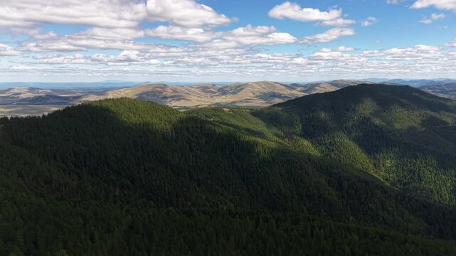 Aerial View of Pine Forest on Hills Under Tornik Peak of Zlatibor Mountain, Serbia in Summer Season