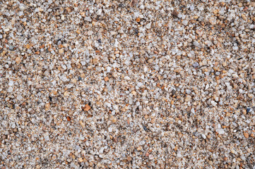 texture of sand on the beach close up. Background with a sandy pattern on the beach by the sea