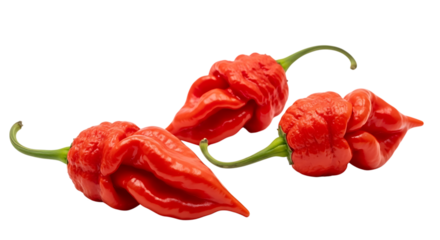 Illustration of three ripe red carolina reaper peppers isolated on transparent background