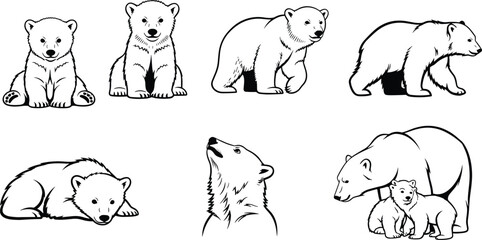 Polar bear illustrations, wildlife sketch, Arctic animal drawing, polar bear family, cubs, nature art, © Masum's World